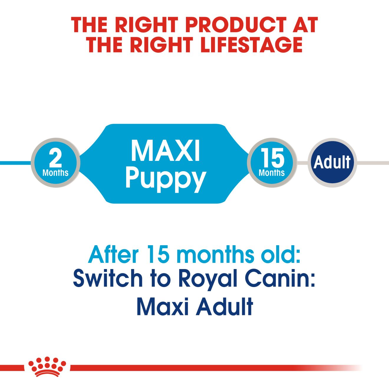 Maxi Puppy wet | Royal Canin