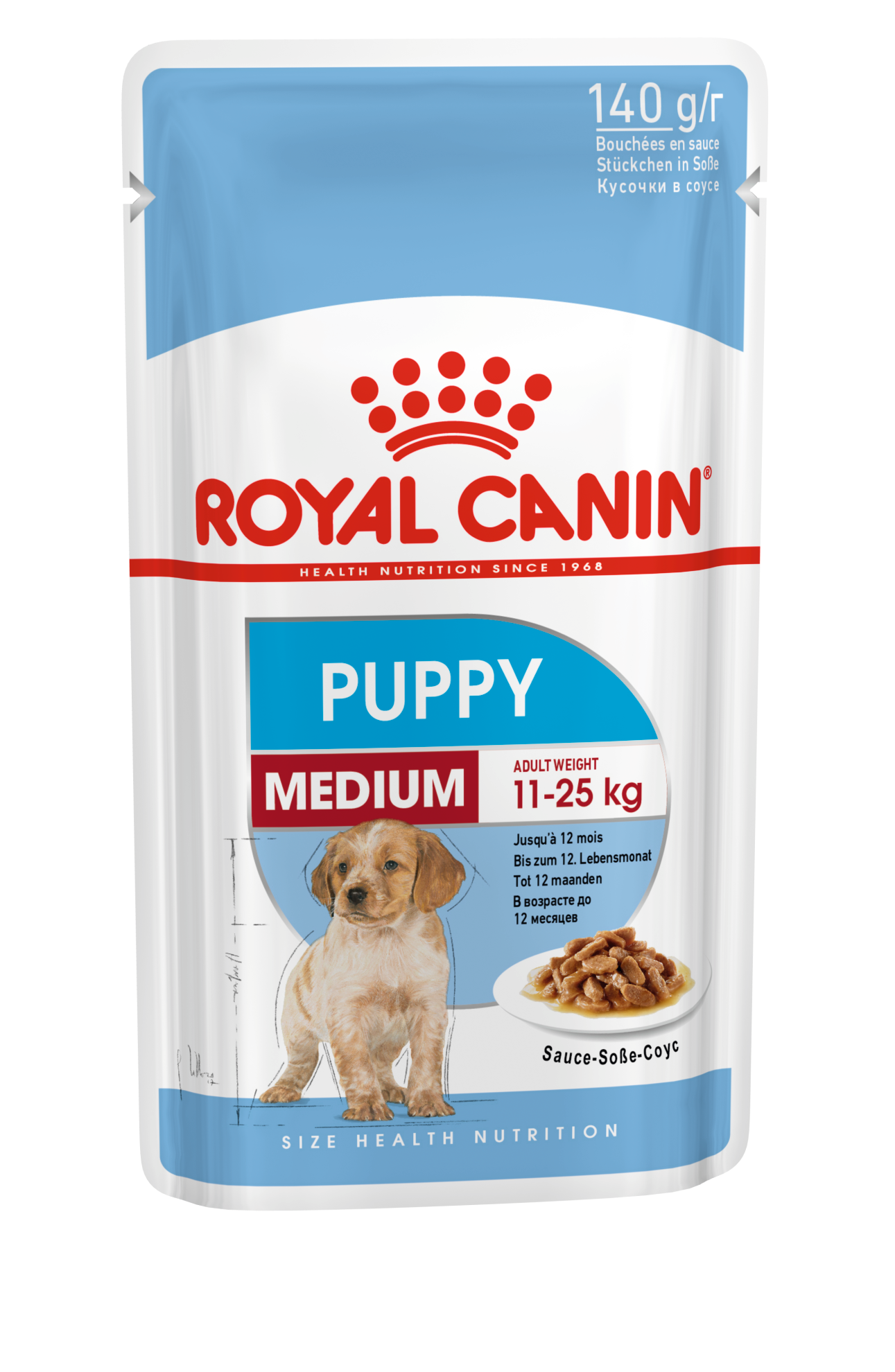 Feeding a puppy hot sale adult dog food