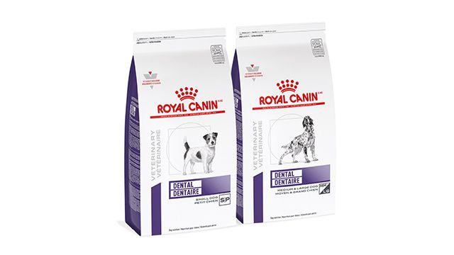 Canine dental product range