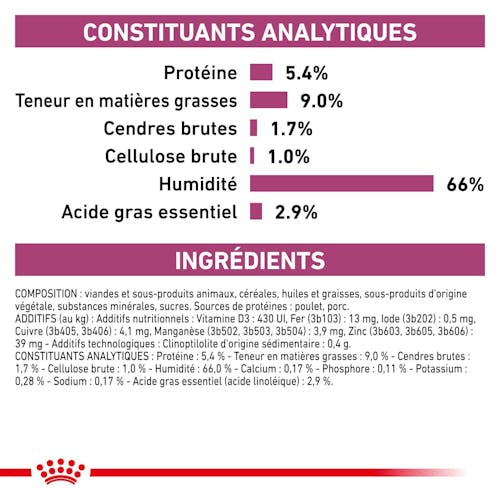 Renal