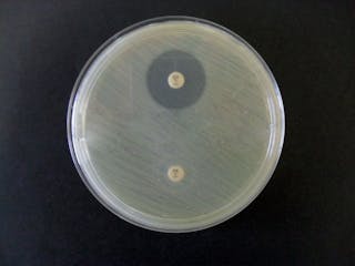 oxacillina