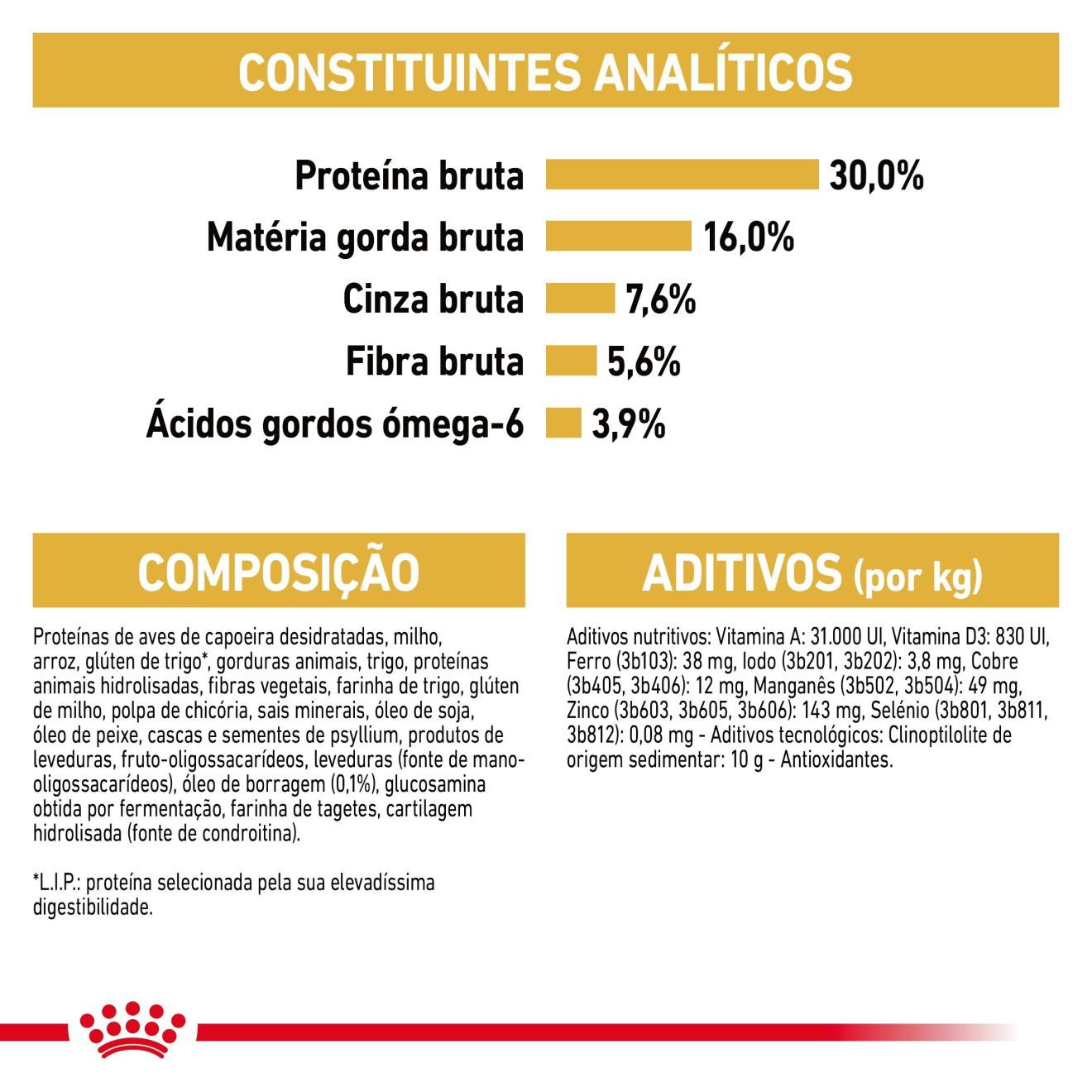 Norwegian Forest Cat Adult