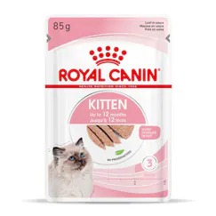 Kitten Mousse - Sachet fraîcheur pour chaton