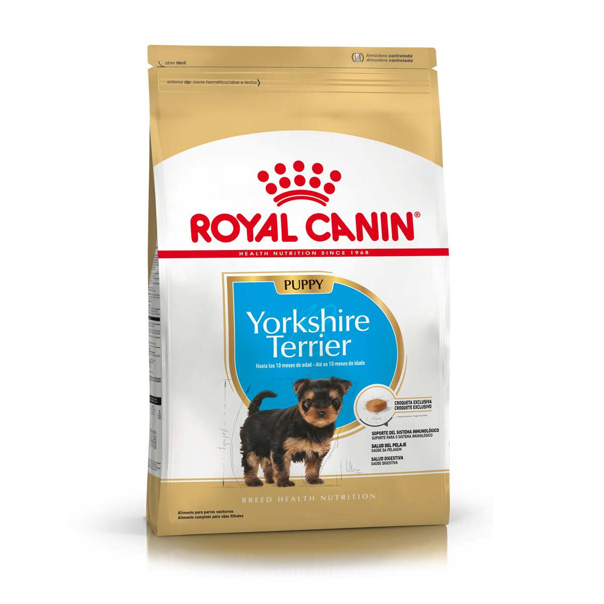 elemento Recuerdo recurso Yorkshire Terrier Adult dry | Royal Canin