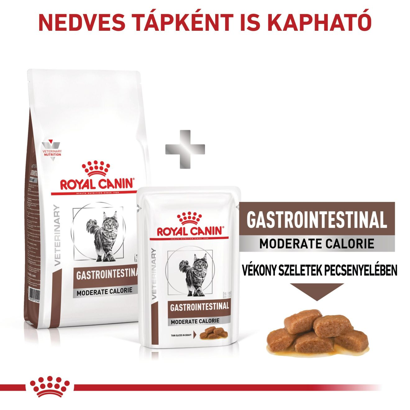 Gastrointestinal Moderate Calorie