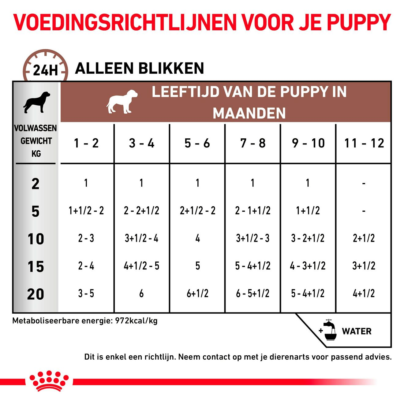 Gastrointestinal Puppy | Royal Canin NL