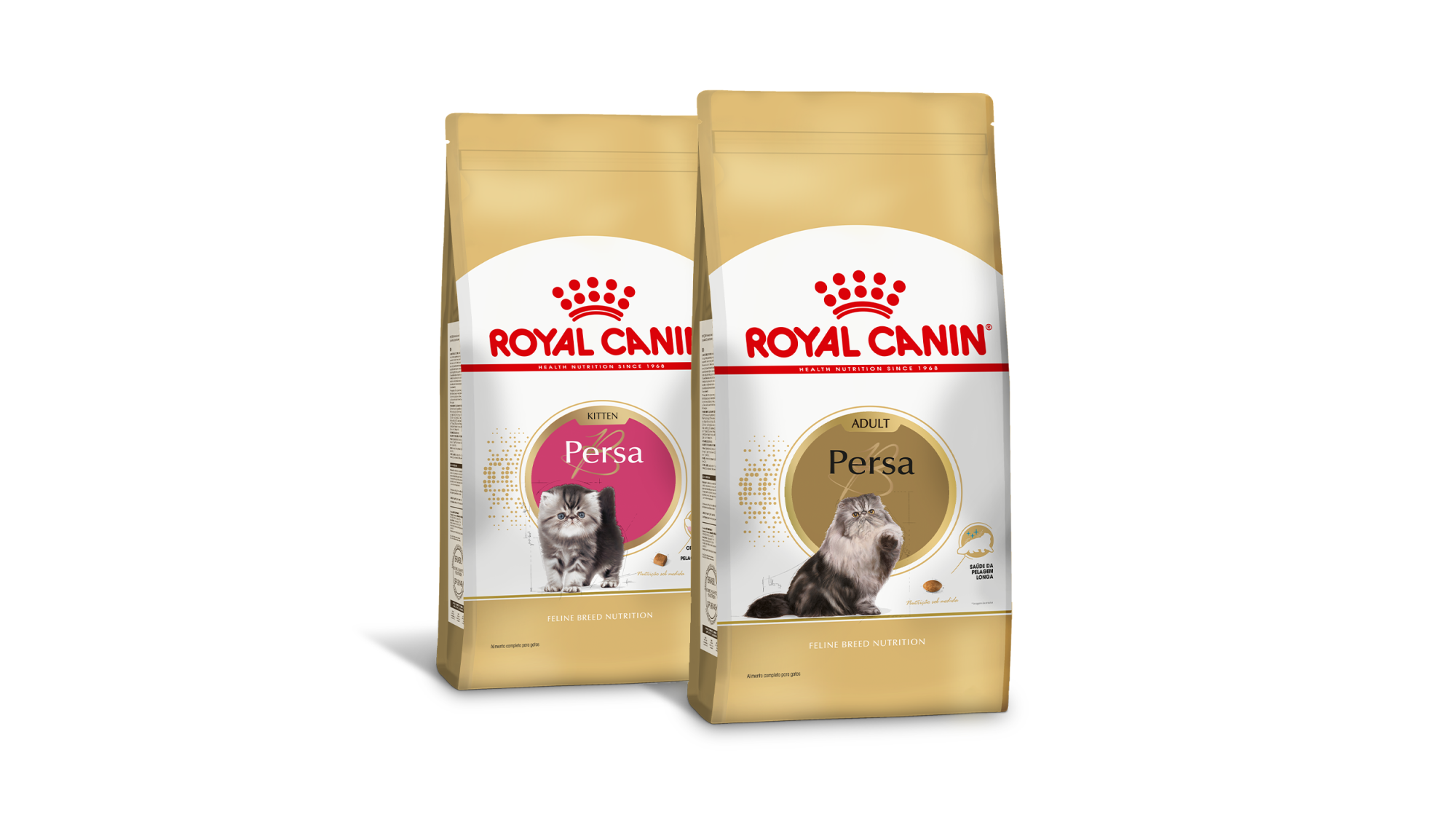 Gatos de raça pura