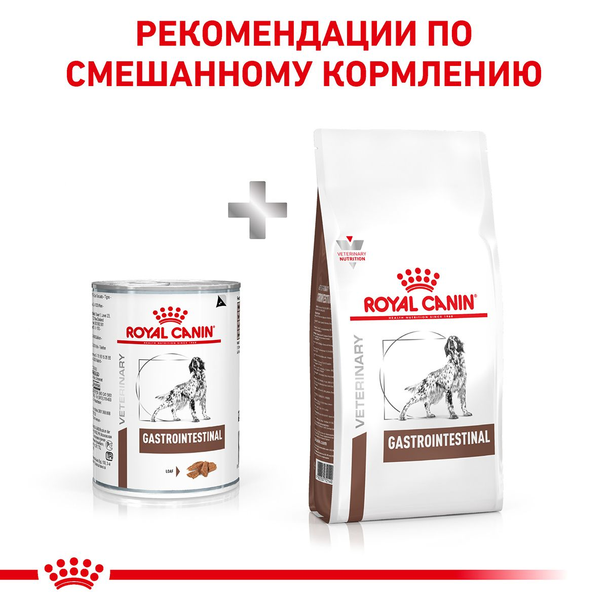 Gastrointestinal Royal Canin UA