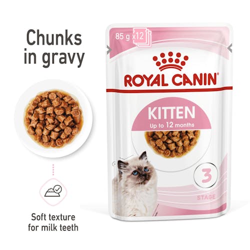 Kitten Chunks In Gravy