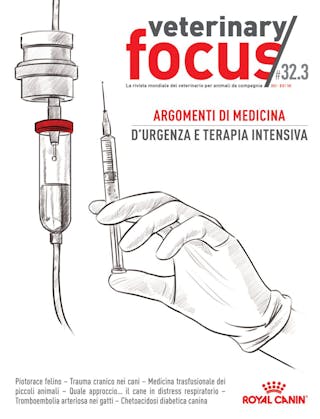 Argomenti di medicina d'urgencia e terapia intensiva