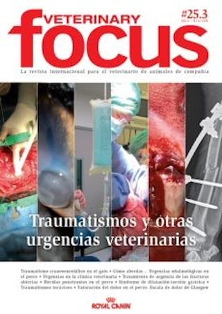 Traumatismos y otras urgencias veterinarias