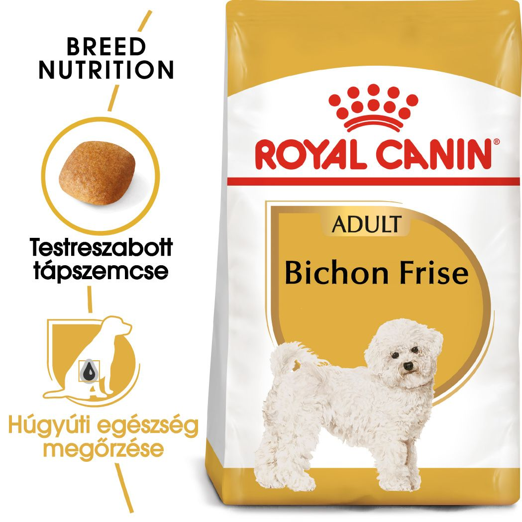 Bichon Frise Adult