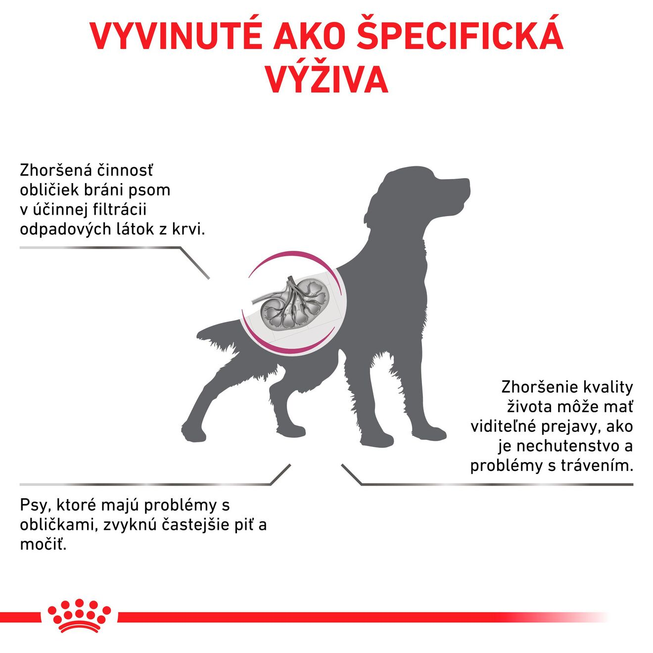 VHN Dog Renal Special