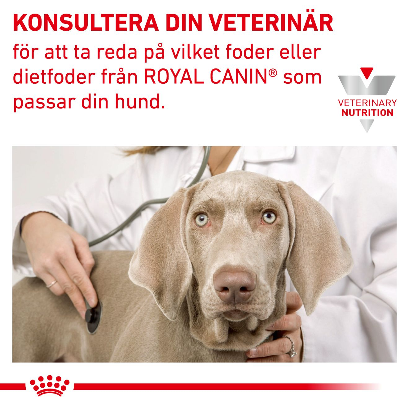 Derma Hypoallergenic Moderate Calorie