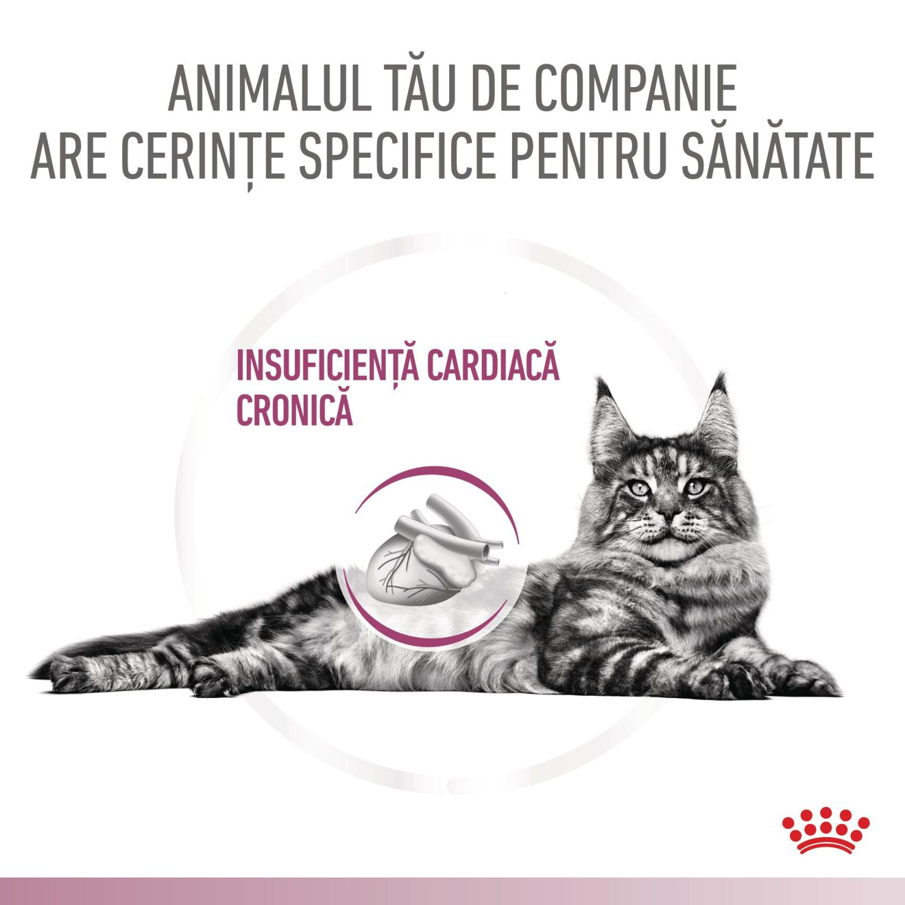 CARDIAC