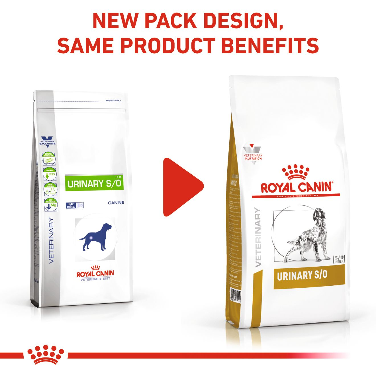 Royal Canin Urinary S/O Dog kuivtoit