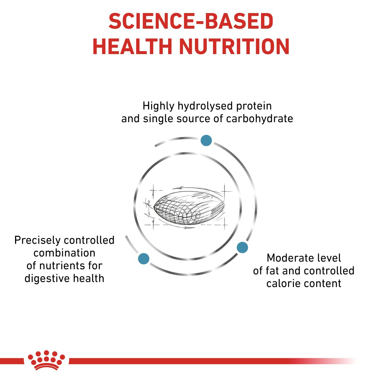 Hypoallergenic Moderate Calorie