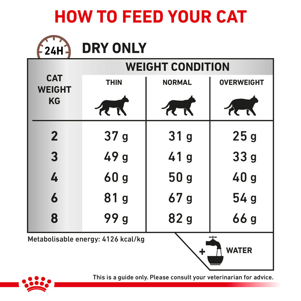 Royal canin 2025 cat hepatic