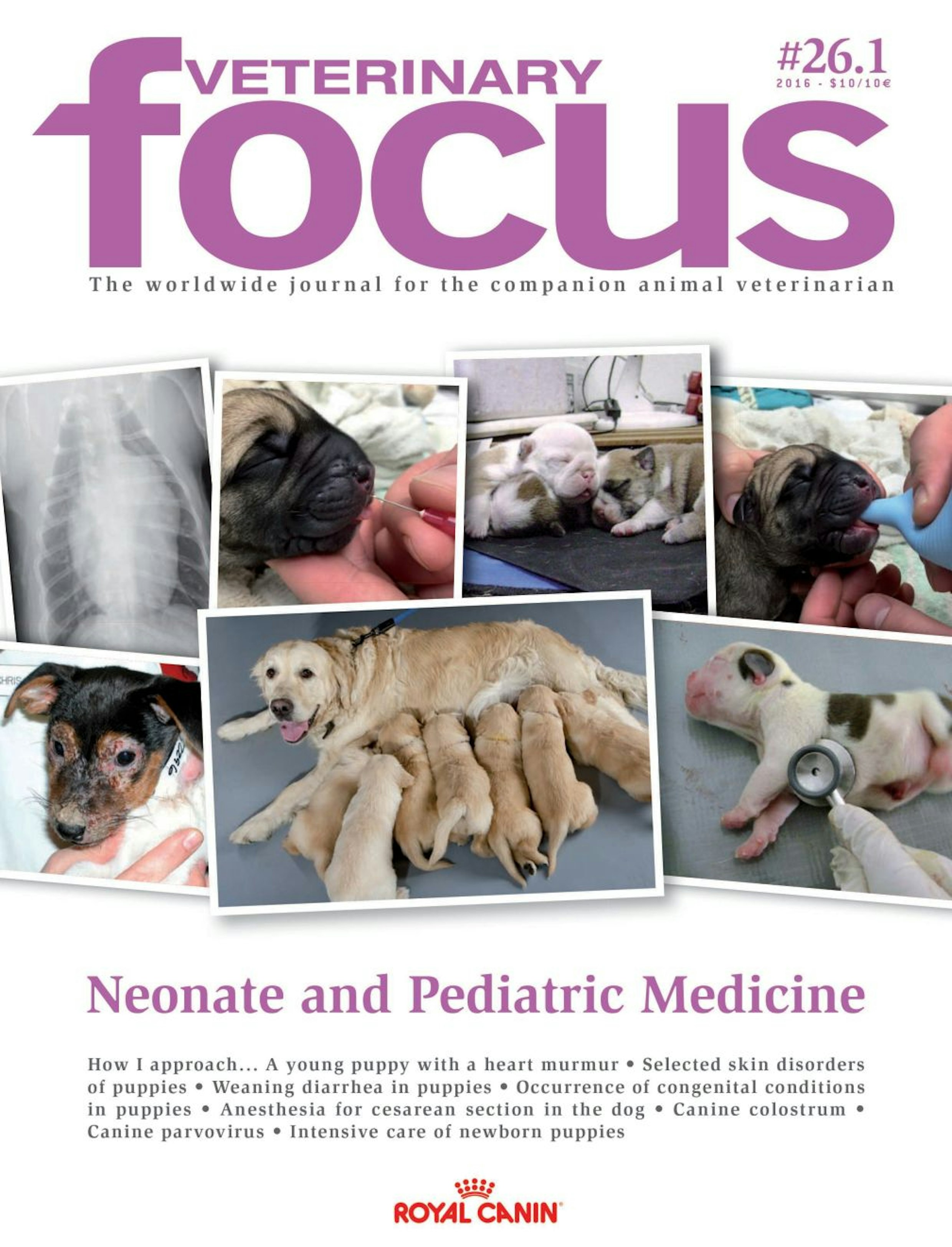Neonate and Pediatric Medicine