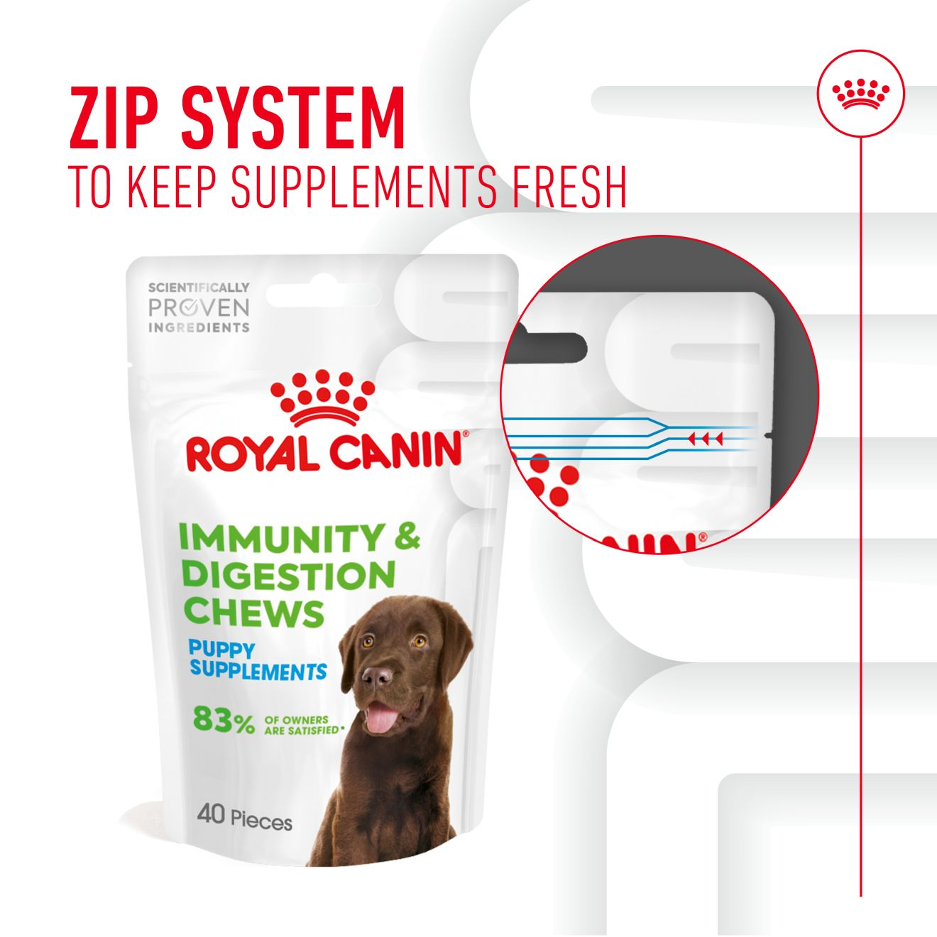 Puppy Digestion Supplement 100g