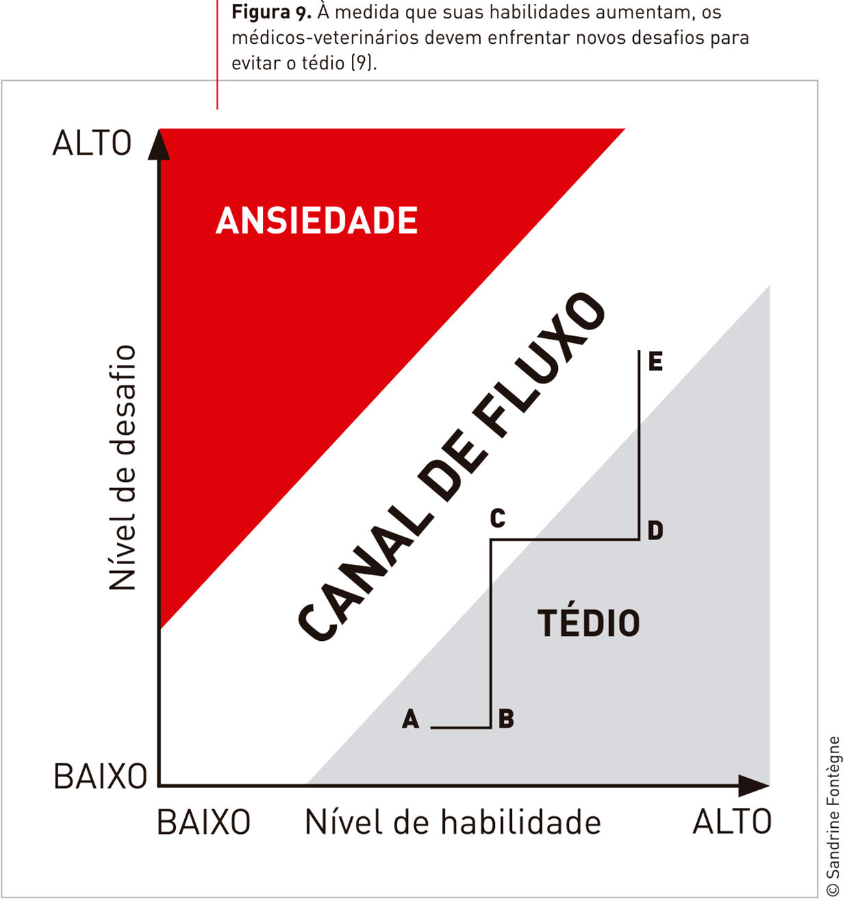 Figura 9. À medida que as suas habilidades aumentam, os médicos-veterinários devem enfrentar novos desafios para evitar o tédio (9).