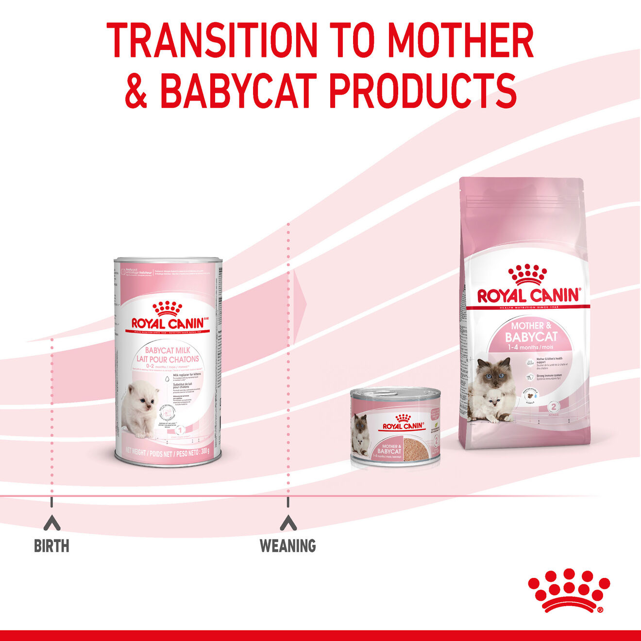 BABYCAT MILK