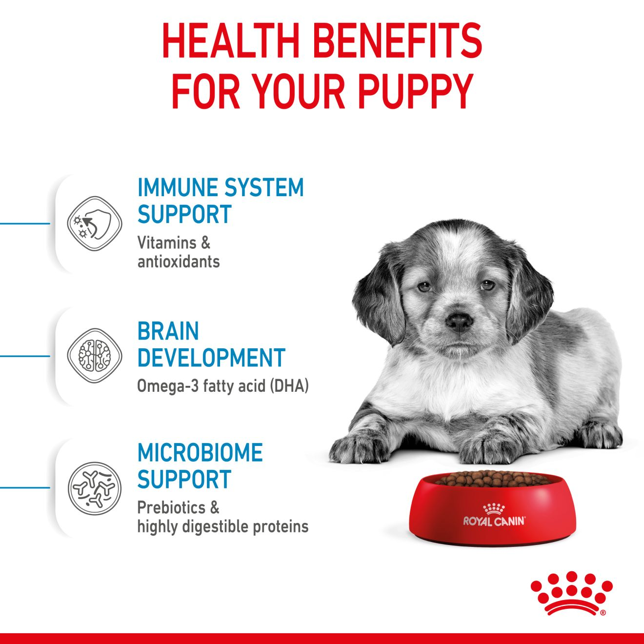 Royal canin puppy medium hotsell feeding guide