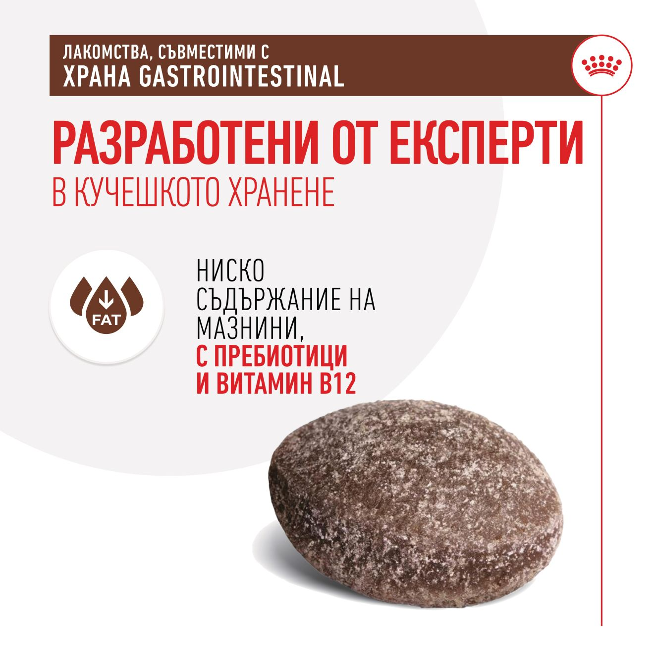 TREATS COMPATIBLE WITH GASTROINTESTINAL DIETS​