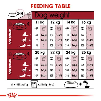 SHN-AdultMedium7-CV-EretailKit-4