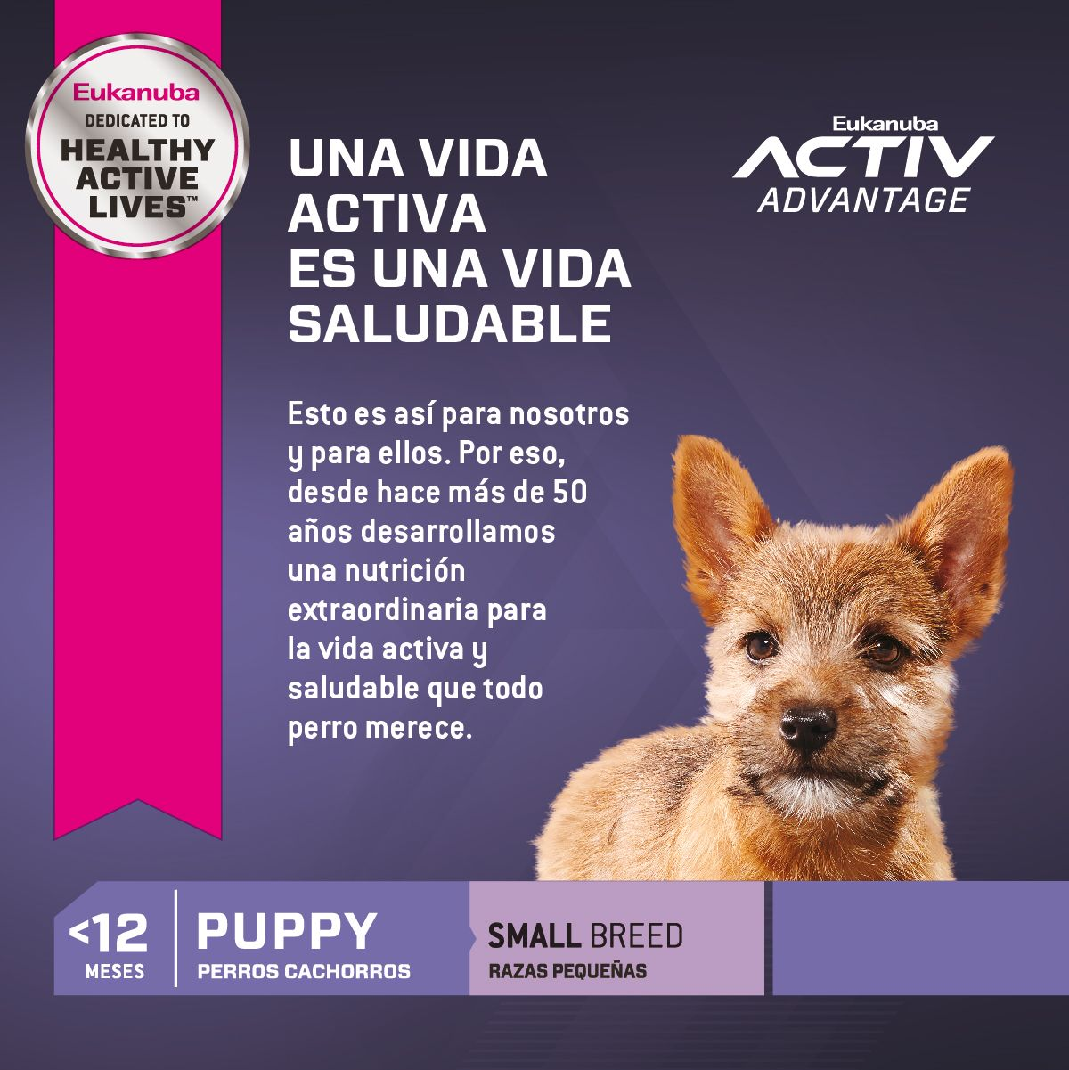 EUKANUBA PUPPY SMALL BREED
