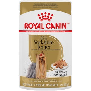 Yorkshire Terrier Wet