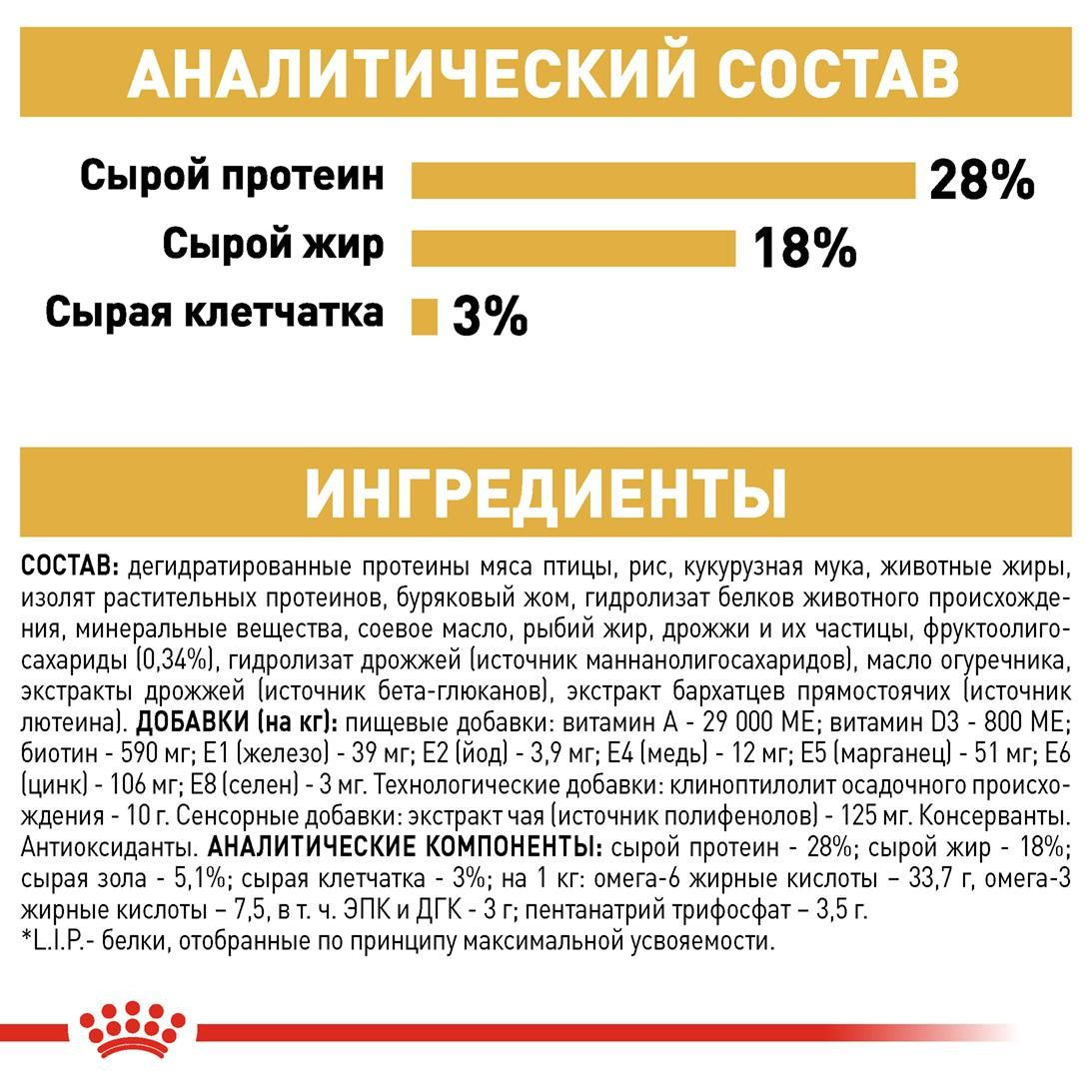 YorkshireTerrier Adult