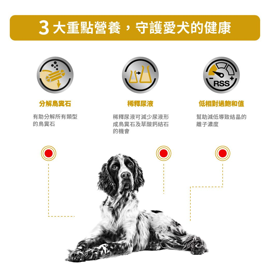 成犬泌尿道處方袋裝濕糧（肉汁）