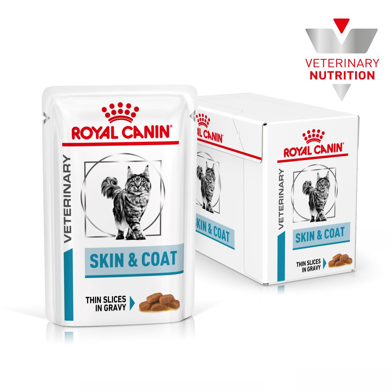 Royal Canin Skin & Coat Cat konserv (õhukesed viilud kastmes)