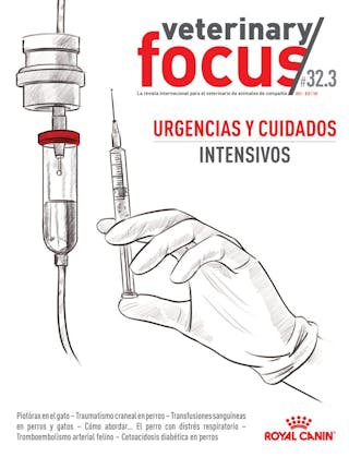 Urgencias y cuidados intensivos