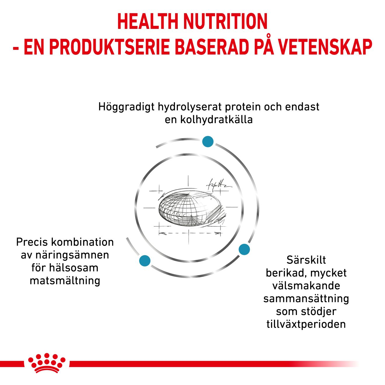 Derma Hypoallergenic Puppy