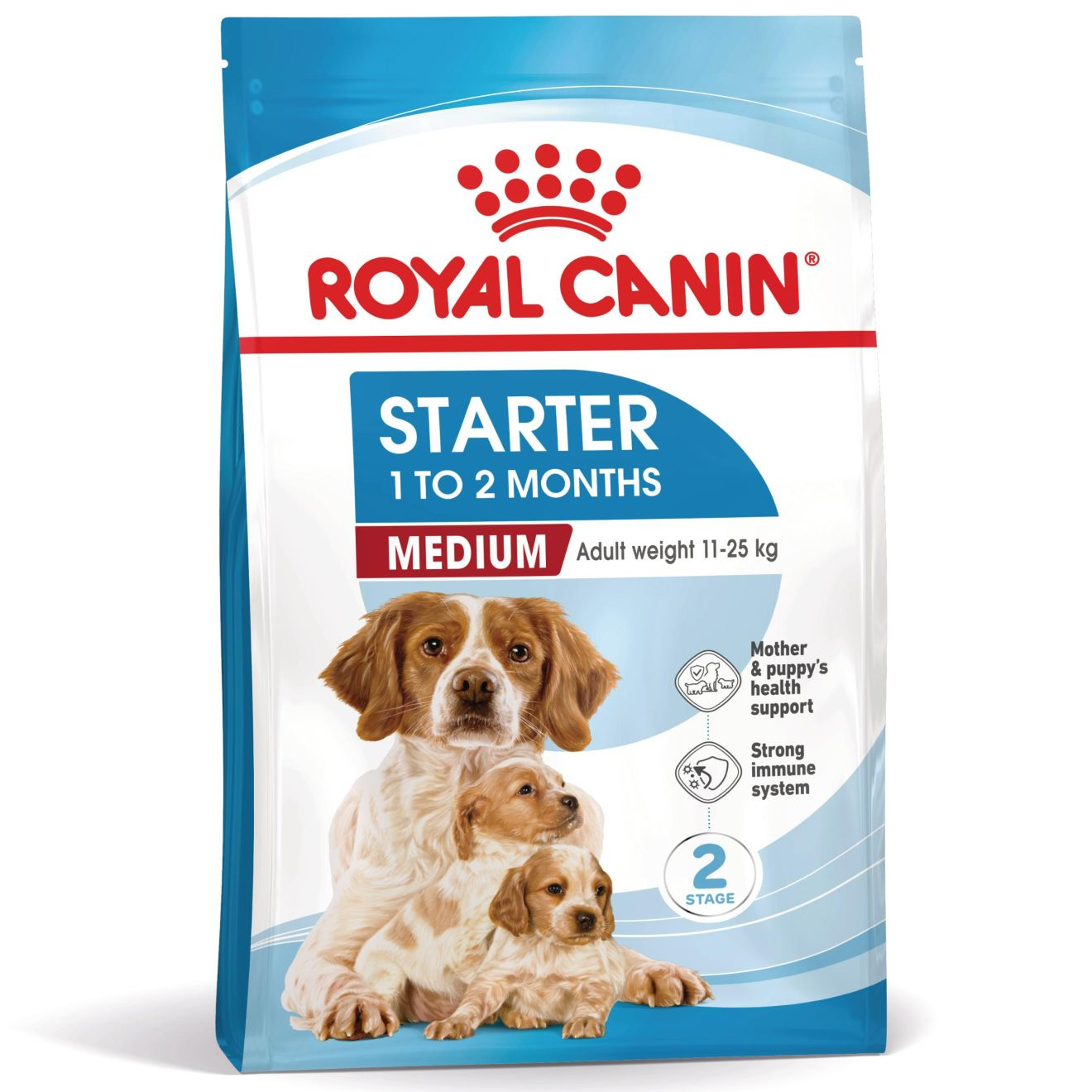 MEDIUM STARTER Mother & Babydog