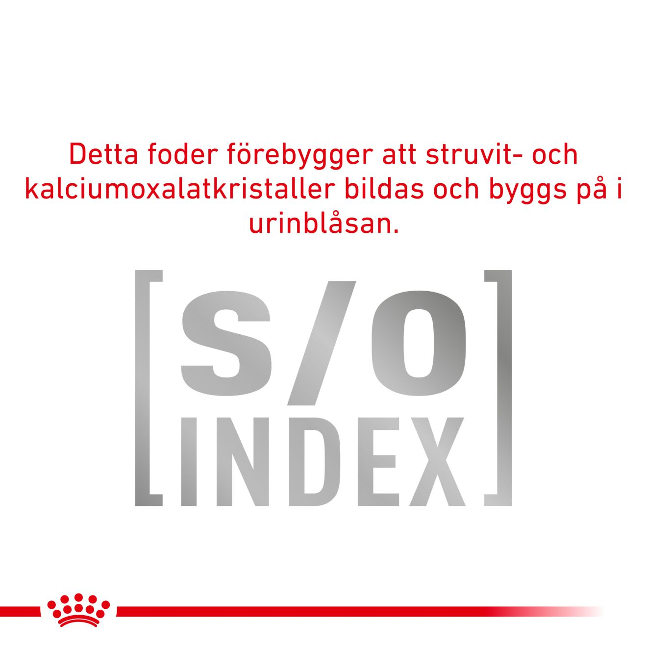 Weight Management Diabetic