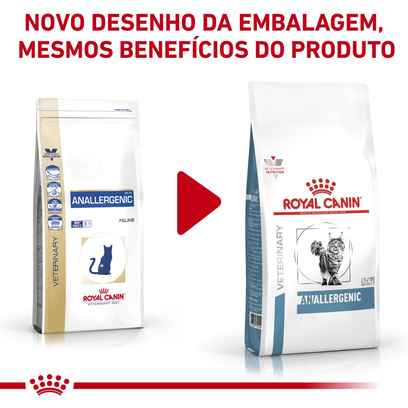 Cat ANALLERGENIC