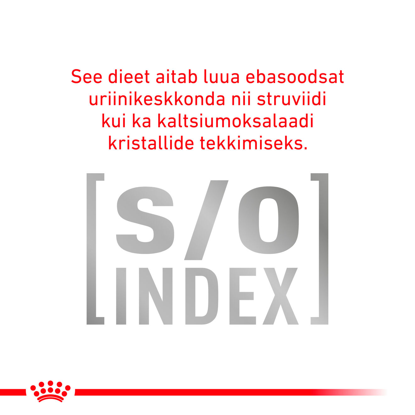 Royal Canin Early Renal Cat kuivtoit