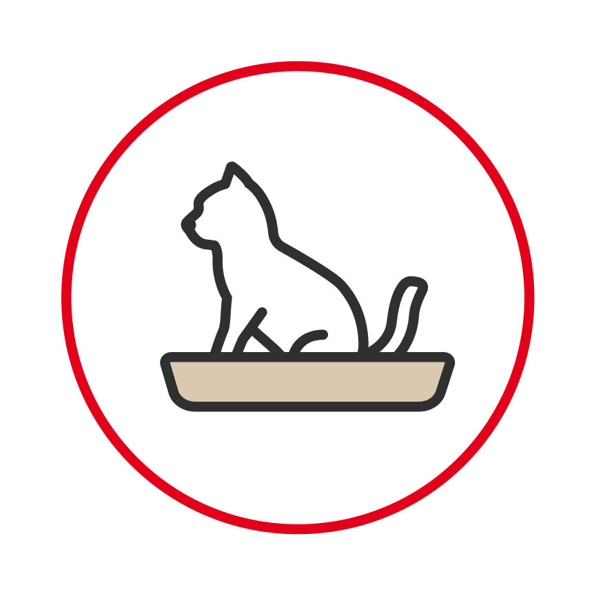 Illustration of a cat in a litter tray