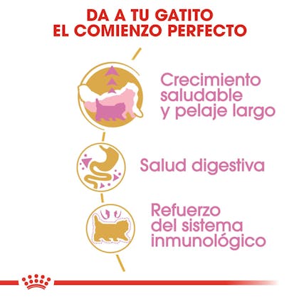 BENEFICIOS