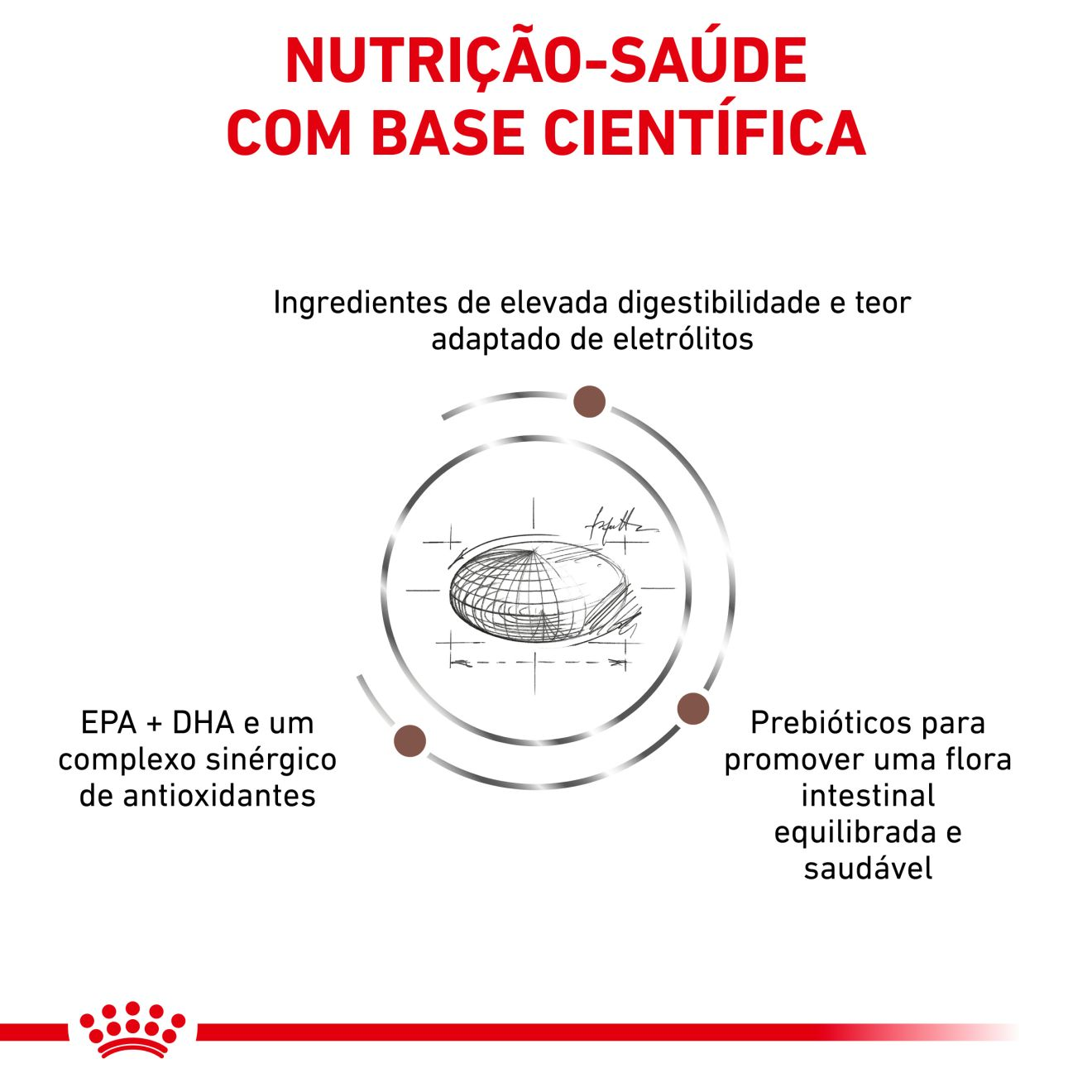 Gastrointestinal Moderate Calorie