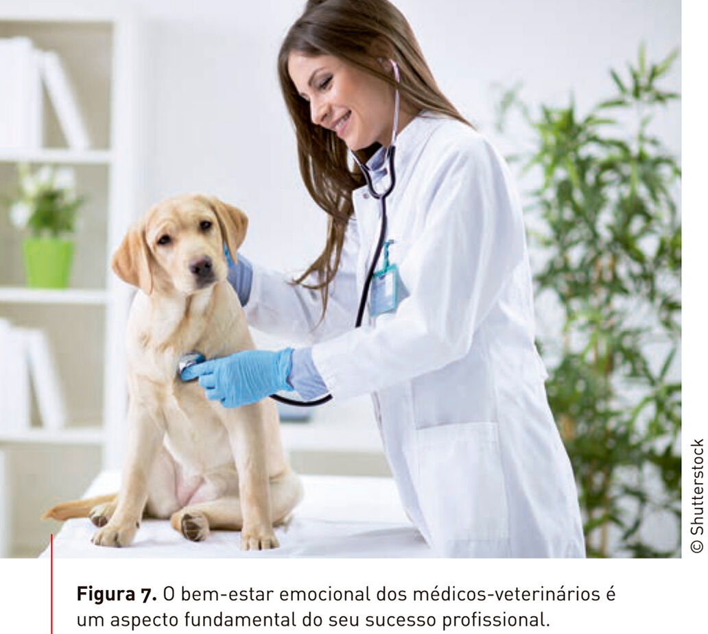Figura 7. O bem-estar emocional dos médicos-veterinários é um aspecto fundamental do seu sucesso profissional. © Shutterstock