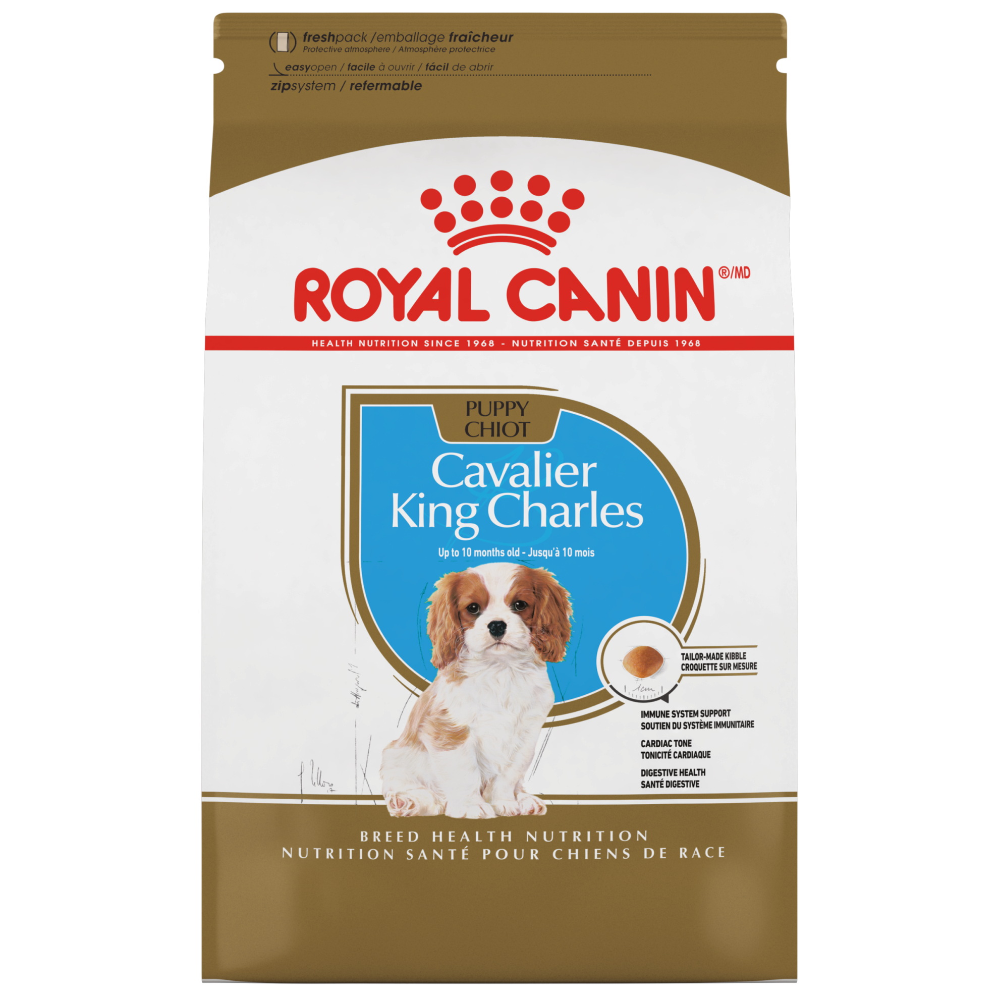 what should i feed my cavalier king charles puppy