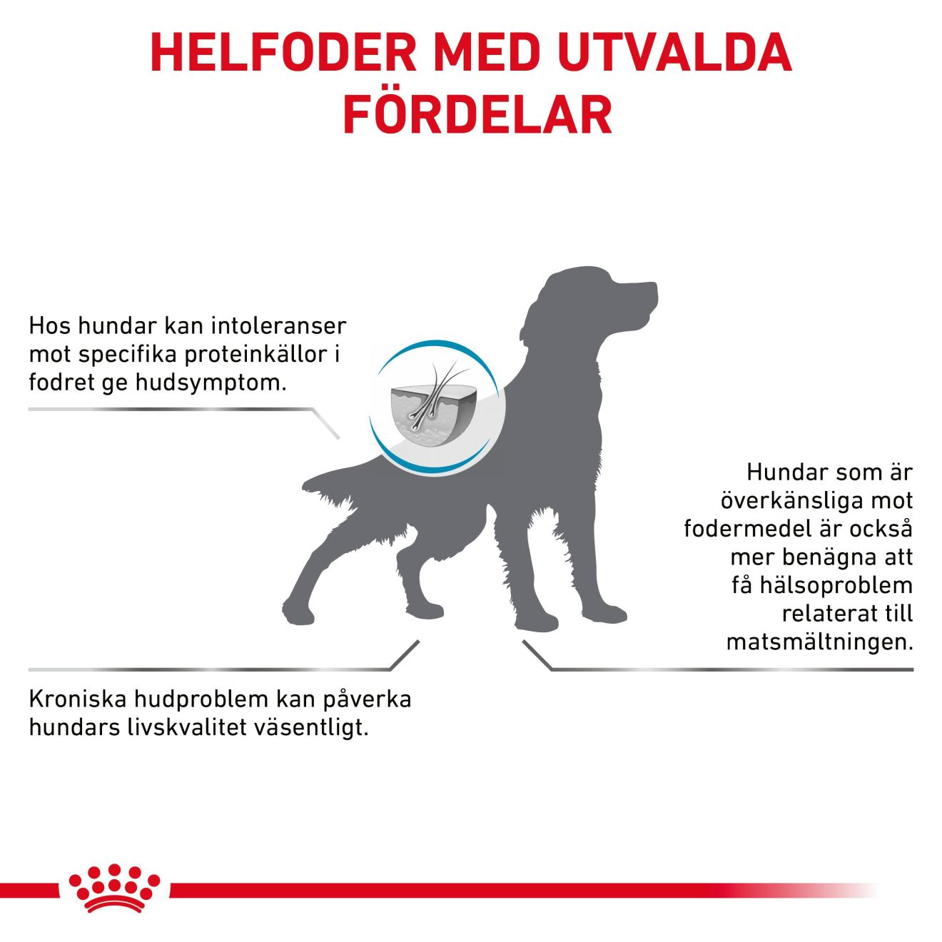 Derma Anallergenic
