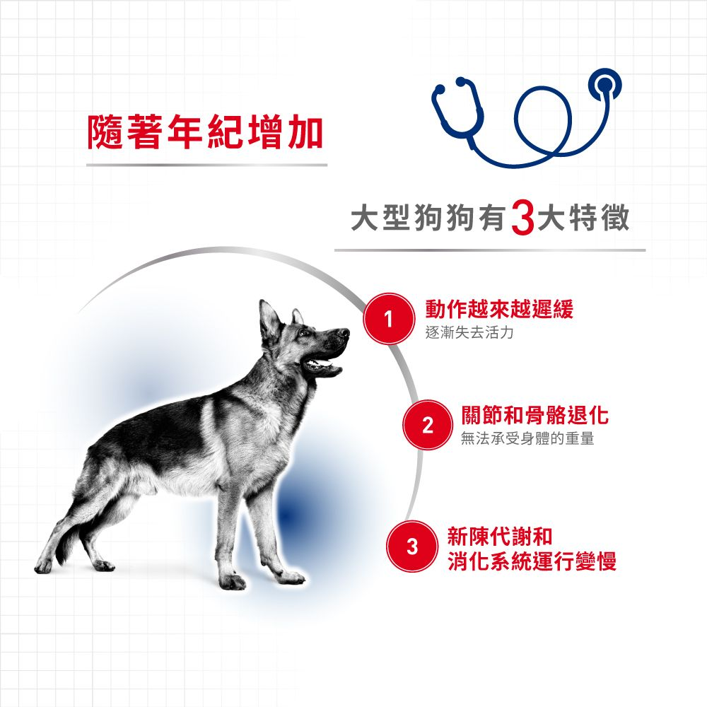 SHN 大型熟齡及老犬營養主食濕糧(肉汁)