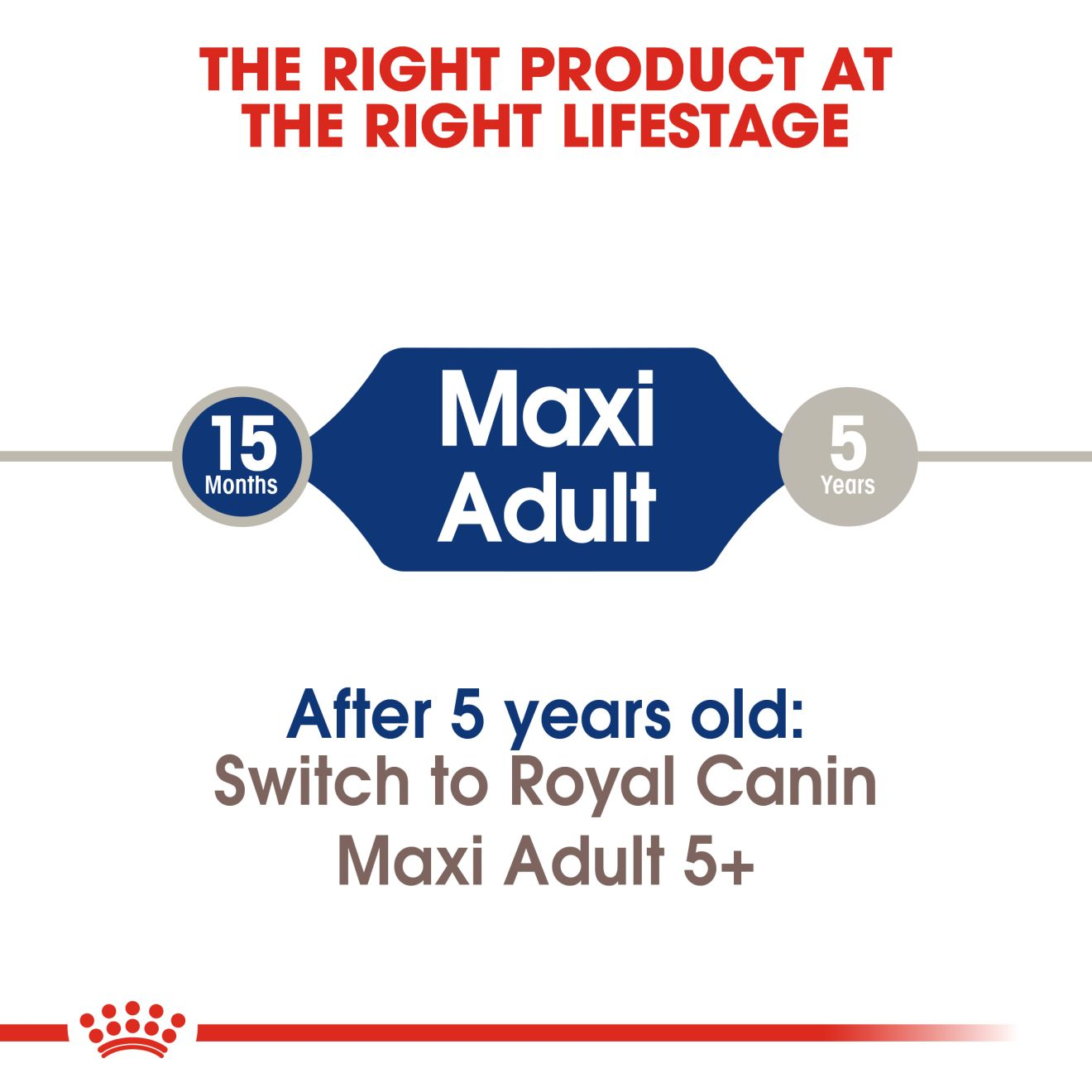 Royal canin 2024 professional maxi starter