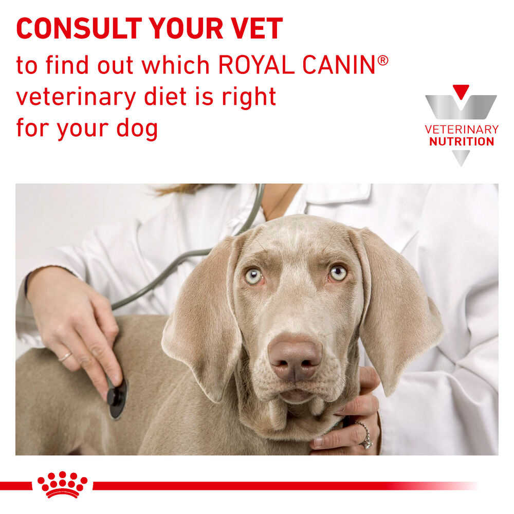 Royal canin clearance skin digest 23