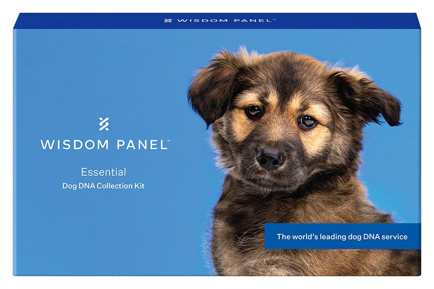 Wisdom Panel Royal Canin UK